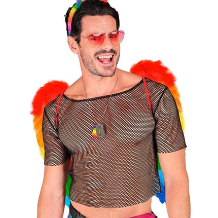 E-Carnavalskleding.nl Veren vleugels regenboog opvouwbaar 50 x 50cm Thijs