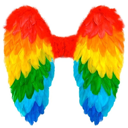 E-Carnavalskleding.nl Veren vleugels regenboog opvouwbaar 50 x 50cm Thijs