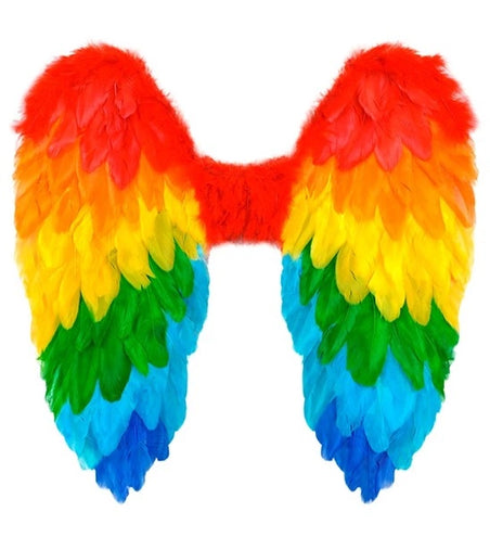 E-Carnavalskleding.nl Veren vleugels regenboog opvouwbaar 50 x 50cm Thijs