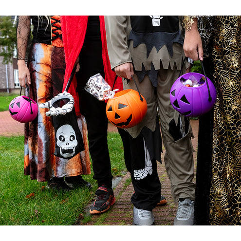 E-Carnavalskleding.nl Zakje Trick or Treat Schedel