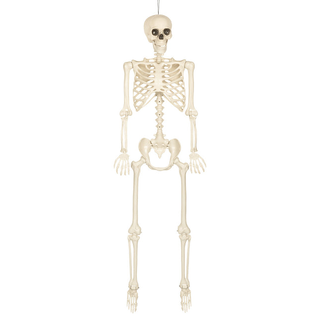 Hangdecoratie skelet skinny ivoorkleurig vooraanzicht met draadlus boven de schedel, voor Halloween