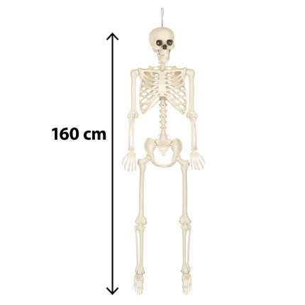 Hangdecoratie skelet skinny met maataanduiding van 160 cm van schedel tot voeten