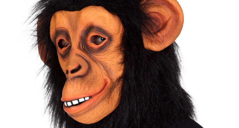 Latex hoofdmasker chimpansee met bruin apengezicht, witte tanden en zwart haar rondom, gedragen op het hoofd