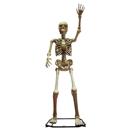 Levensgroot skelet van 335 cm in botkleur met opgeheven hand en zwarte voetplaat voor Halloween