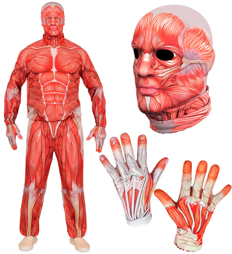 Onderdelen anatomie kostuum: spiermasker met open ogen en mond en twee handschoenen