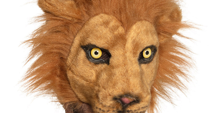 Pluchen leeuwenmasker in bruin met volle manen, gedragen als halfmasker op een themafeest