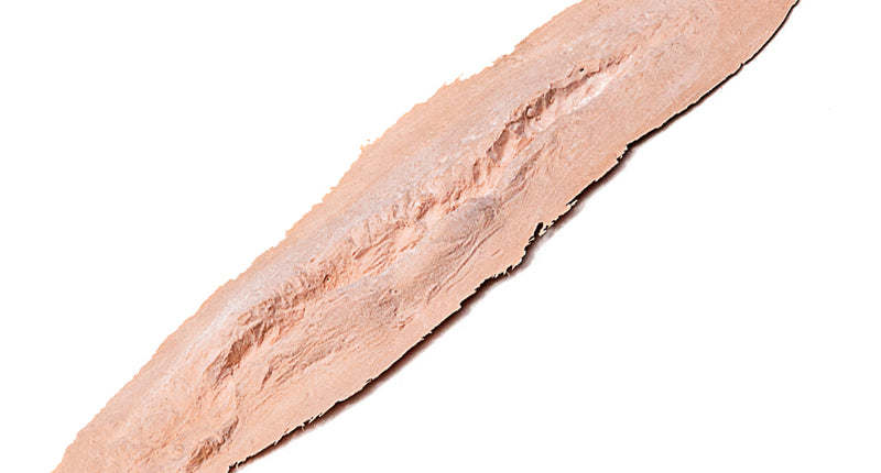 PXP Professional Colours PXP Latex lange wond