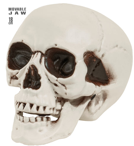 Schedel met beweegbare kaak in gebroken wit met donkere oogkassen, 18 cm decoratie