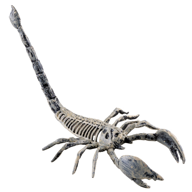 Schorpioen skelet 25 cm van pvc, botwit met zwarte vlekken en opgeheven staart, Halloween decoratie