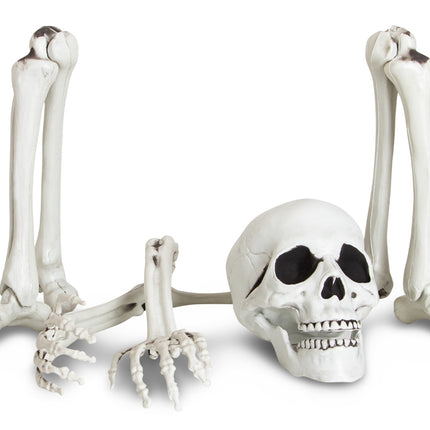 Skeletdelen met grondpinnen opgesteld als uit de grond kruipend skelet voor Halloween