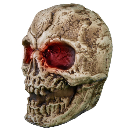 Skeletten schedel schuin van opzij, barsten en groeven in het botoppervlak met rood gloeiende oogkas