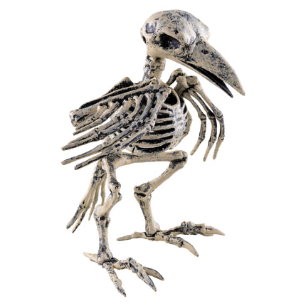 Vogelskelet 20 cm van pvc in zijaanzicht met grote snavel en ribbenkast, Halloween decoratie