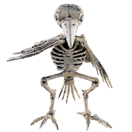 Vogelskelet decoratie van voren met gespreide vleugelbotten en klauwpoten in botkleur met zwarte vegen