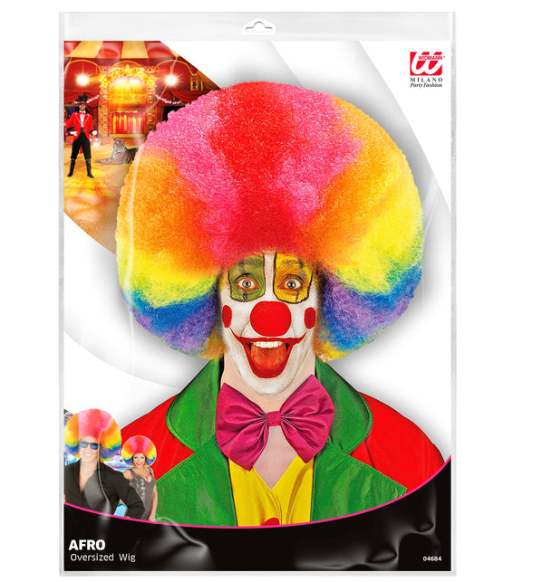 Widmann SRL Afro pruik regenboogkleur