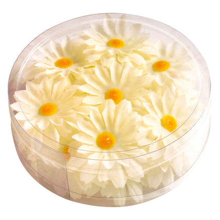 Widmann SRL Decoratie Margrietjes