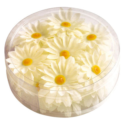 Widmann SRL Decoratie Margrietjes