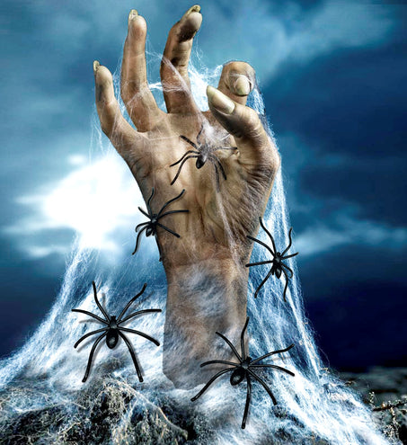 Widmann SRL Halloween spinnenweb met 20 nep spinnen