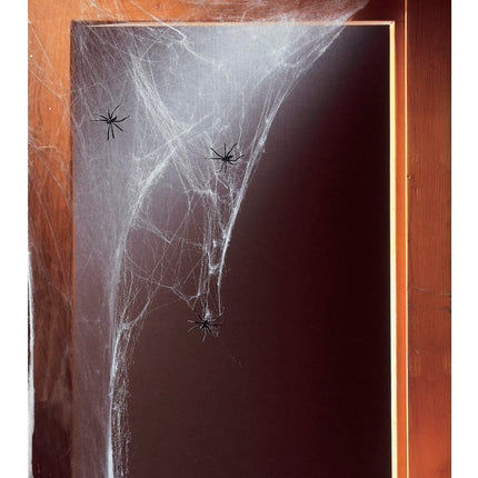 Widmann SRL Halloween spinnenweb met 20 nep spinnen