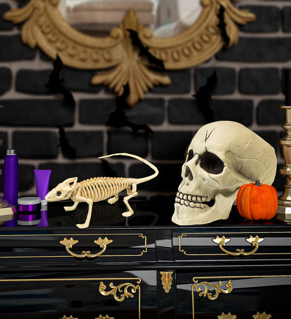 Widmann SRL Leguaan skelet