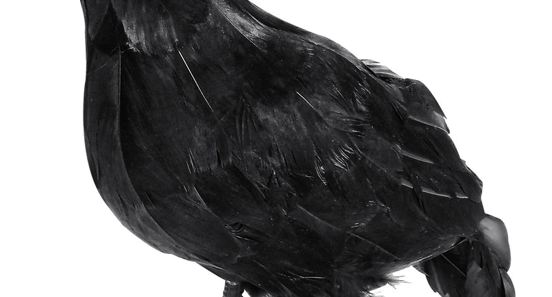Widmann SRL Nep kraai zwart decoratief