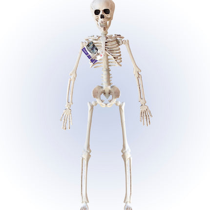 Widmann SRL Nep skelet 40 cm buigbaar