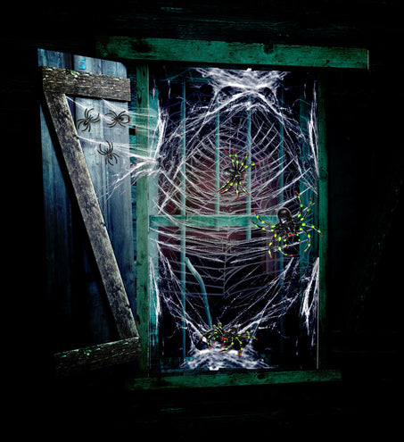 Widmann SRL Nep spinnenweb met spinnen