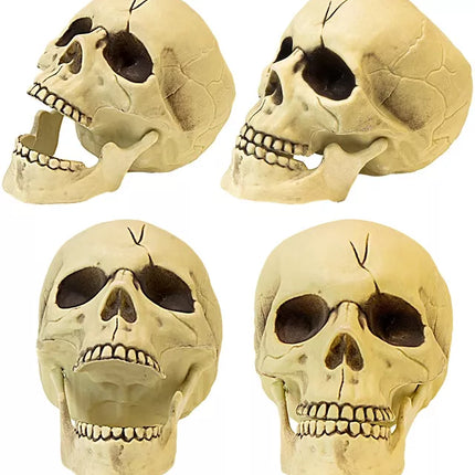 Widmann SRL Pvc schedel met beweegbare kaak 21cm kostuum Julia