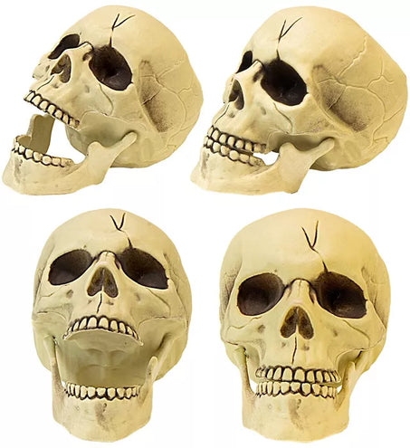 Widmann SRL Pvc schedel met beweegbare kaak 21cm kostuum Julia