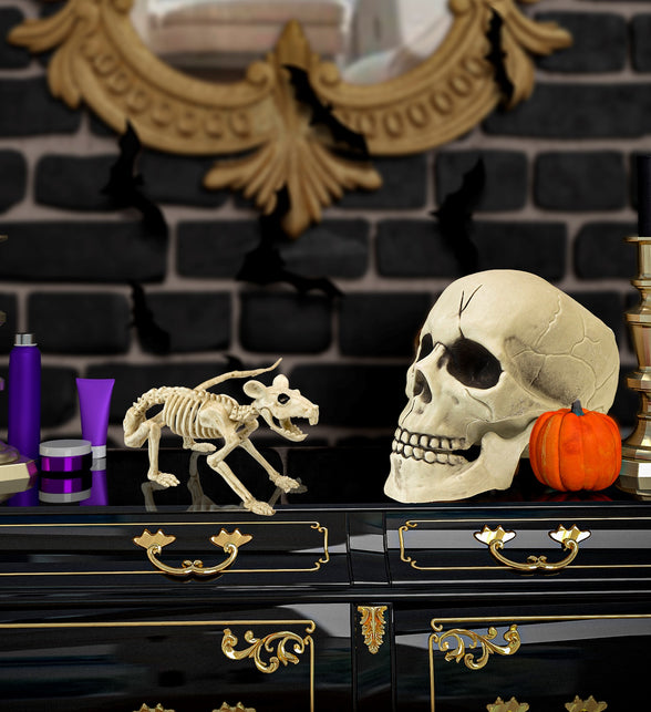 Widmann SRL Ratten skelet