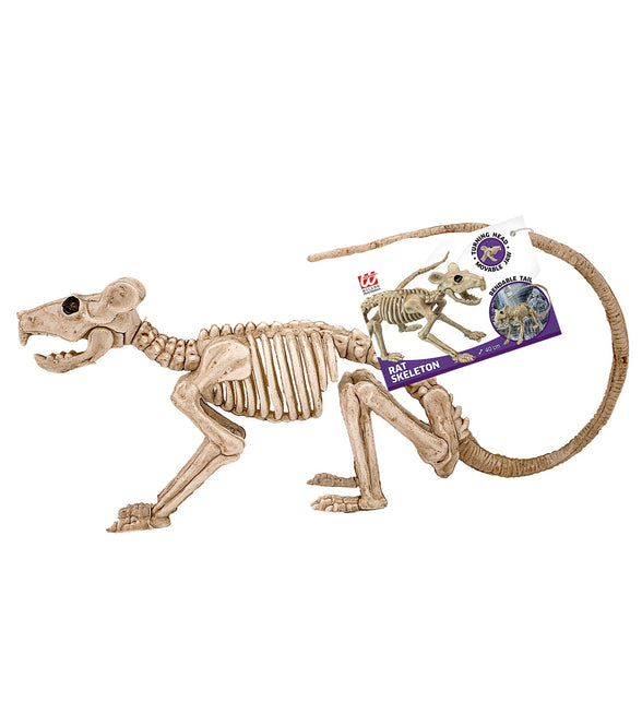 Widmann SRL Ratten skelet