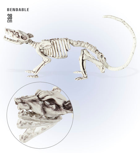 Widmann SRL Ratten Skelet deco