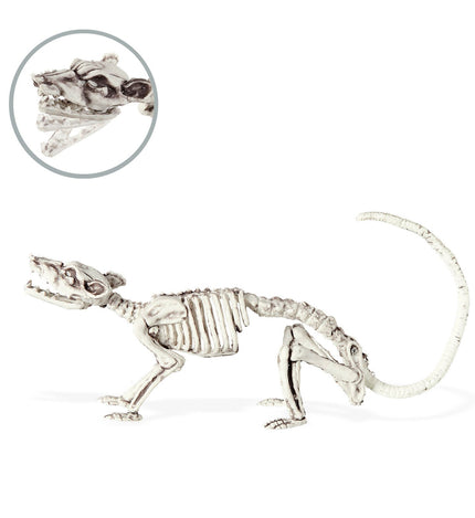 Widmann SRL Ratten Skelet deco