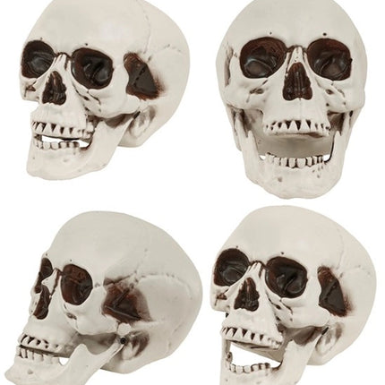 Widmann SRL Schedel met beweegbare kaak 12cm Mees