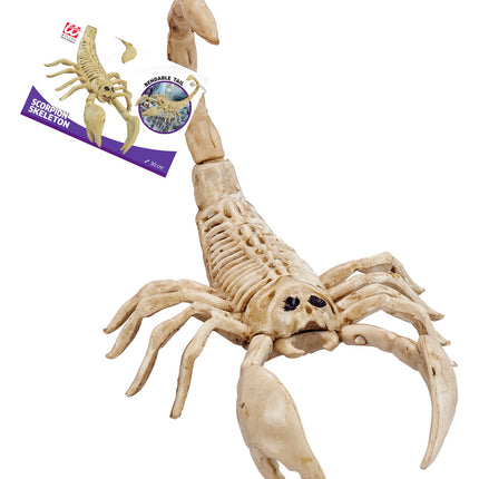Widmann SRL Schorpioen skelet