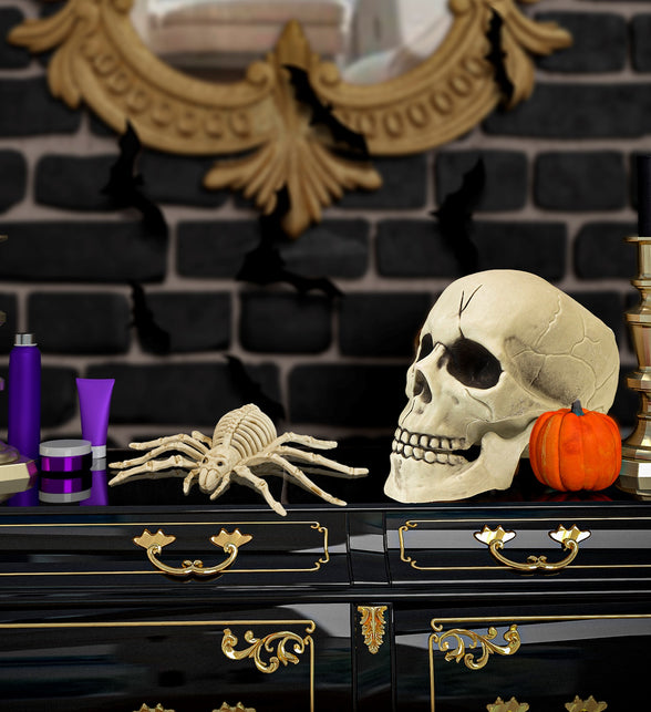 Widmann SRL Spinnen skelet