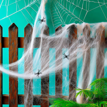 Widmann SRL Spinnenweb 50 gram met 3 spinnen