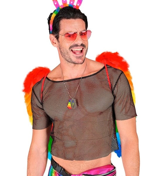 Widmann SRL Veren vleugels regenboog opvouwbaar 50 x 50cm Thijs