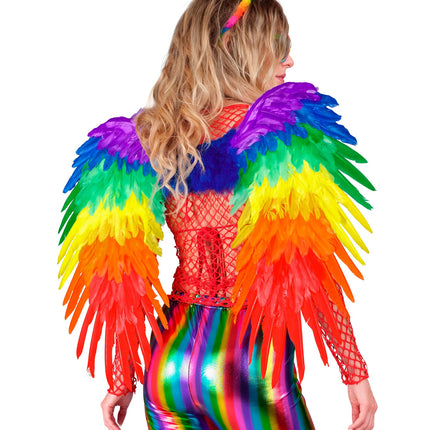Widmann SRL Veren vleugels regenboog opvouwbaar 80x60 cm