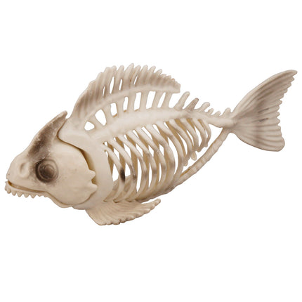 Widmann SRL Vissen skelet