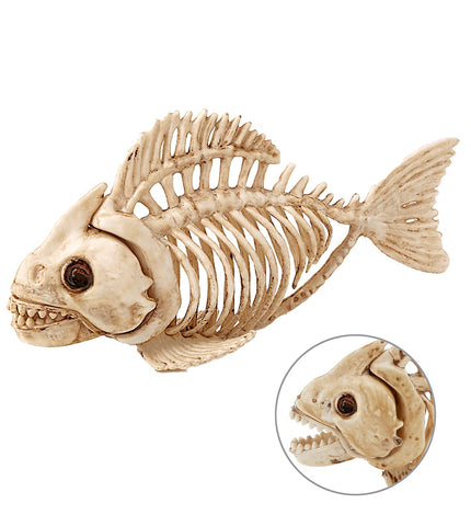 Widmann SRL Vissen skelet