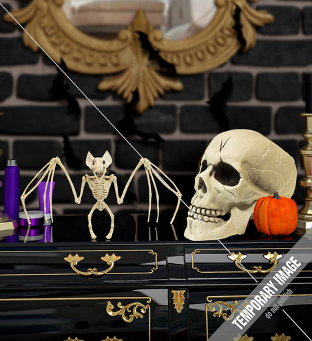 Widmann SRL Vleermuis skelet