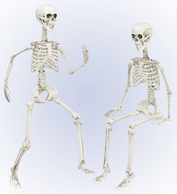 Widmann SRL Vorm baar skelet Halloween