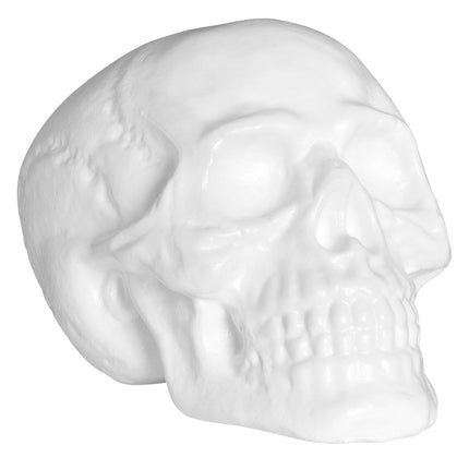 Witte schedel met veranderende caleidoscoop zonder licht, met uitgewerkte tanden, oogkassen en schedelnaden