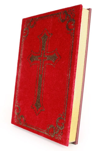e-carnavalskleding-SYK Boek van Sinterklaas