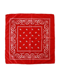 e-carnavalskleding-SYK Boeren zakdoek rood