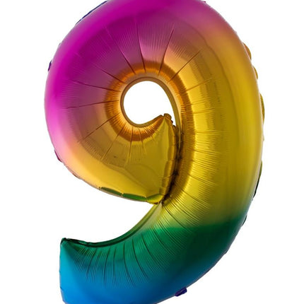 e-carnavalskleding-SYK Folieballon 102 cm regenboog