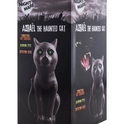 e-carnavalskleding-SYK Halloween deco horror kat