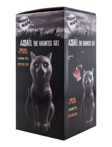 e-carnavalskleding-SYK Halloween deco horror kat