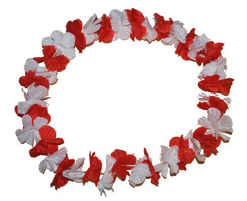 e-carnavalskleding-SYK Hawaii bloemenkrans rood wit