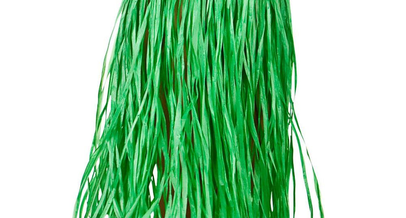 e-carnavalskleding-SYK Hawaii rok groen